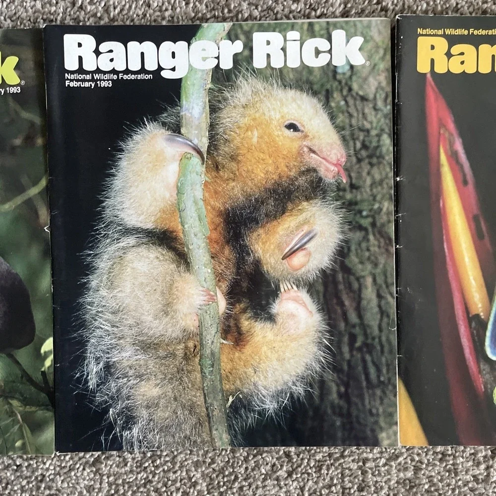 Ranger Rick's Nature‎ Magazine 1993-1994 National Wildlife Kids Vtg Lot Of 11
